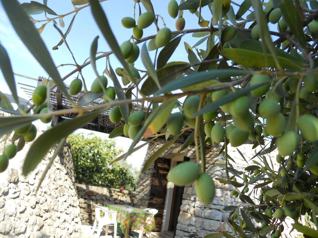 Agriturismo Specchiarussa Morciano di Leuca Room photo